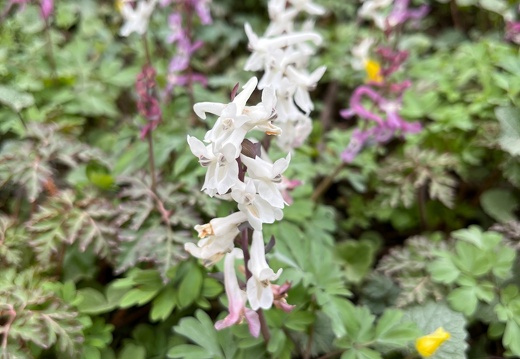 20220325073933-421ef3b5